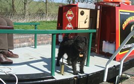 Pet friendly canal boating holidays